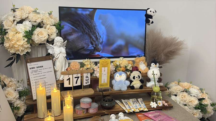 玉林宠物单独火化